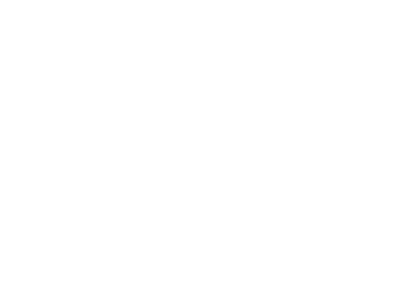 logo_borro